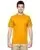 29145.webp