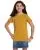 29162.webp