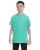 29166.webp