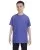 29169.webp