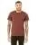 29209.webp