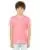 29242.webp
