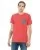 29289.webp