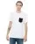 29292.webp