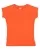 29321.webp