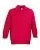 29337.webp
