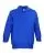 29338.webp