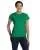 29481.webp