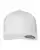 29533_f_fl.webp
