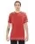 29537.webp