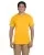 29584.webp