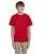 29593.webp
