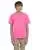 29595.webp