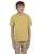 29597.webp