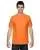 29602.webp