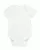 29689.webp