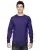 29713.webp