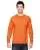 29720.webp