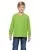 29721.webp