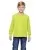 29723.webp