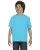 29751.webp