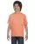 29752.webp