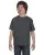 29753.webp