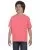 29754.webp