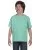 29755.webp