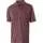 297570.webp