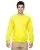 29764.webp