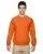 29769.webp