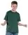 29809.webp