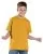29810.webp