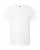 29885_f_fl.webp