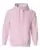 30066_f_fl.webp