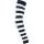 302556.webp
