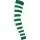 302558.webp