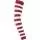 302560.webp