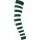 302562.webp
