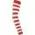 303258.webp