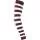 303260.webp