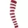 303261.webp