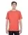 30452.webp
