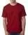 30590.webp