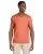 30855.webp