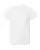31036_f_fl.webp
