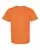31062_f_fl.webp