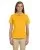 31085.webp