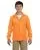 31241.webp